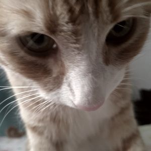 Meet your Posher, Aranza